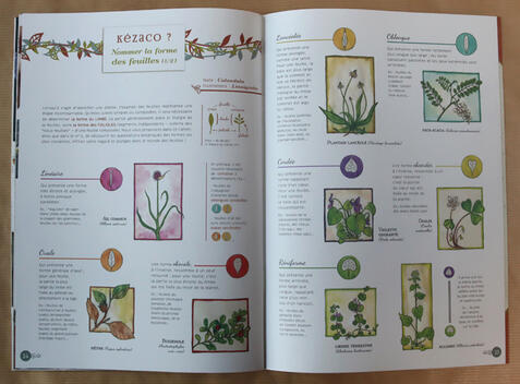 Cahier pratique & sauvage n°4 Cahier pratique & sauvage n°4