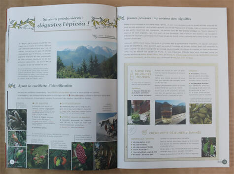 Cahier pratique & sauvage n°4 Cahier pratique & sauvage n°4