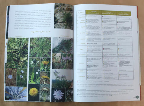 Cahier pratique & sauvage n°4 Cahier pratique & sauvage n°4