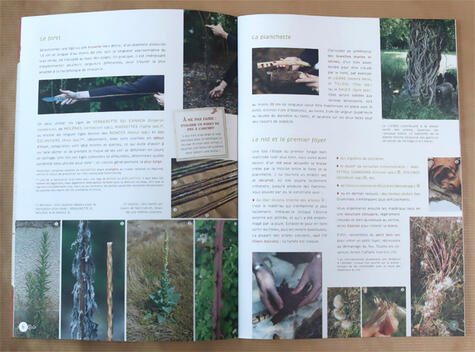 Cahier pratique & sauvage n°4 Cahier pratique & sauvage n°4