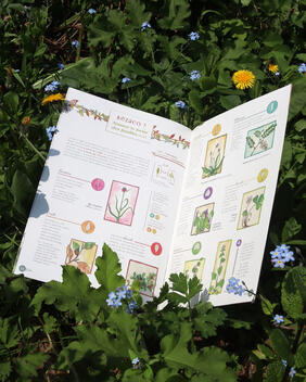 Cahier pratique & sauvage n°4 Cahier pratique & sauvage n°4