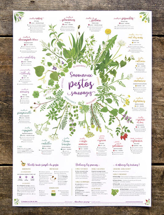Affiche savoureux pestos sauvages Affiche savoureux pestos sauvages